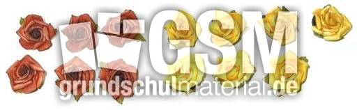 Blumen6+7.jpg